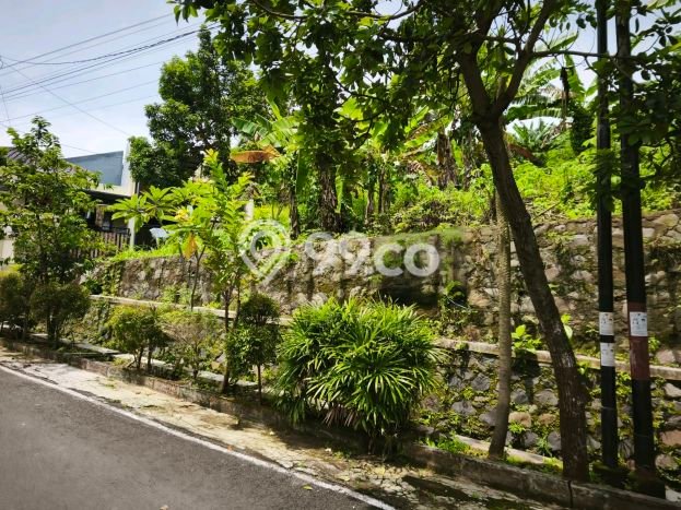 Lahan Investasi Lokasi Ngaliyan Semarang SHM Lahan Investasi Lokasi Ngaliyan Semarang SHM