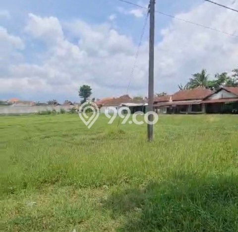 Untuk Dijual Tanah di Kota Kudus Kabupaten Kudus Luas 5415m2 SHM Untuk Dijual Tanah di Kota Kudus Kabupaten Kudus Luas 5415m2 SHM