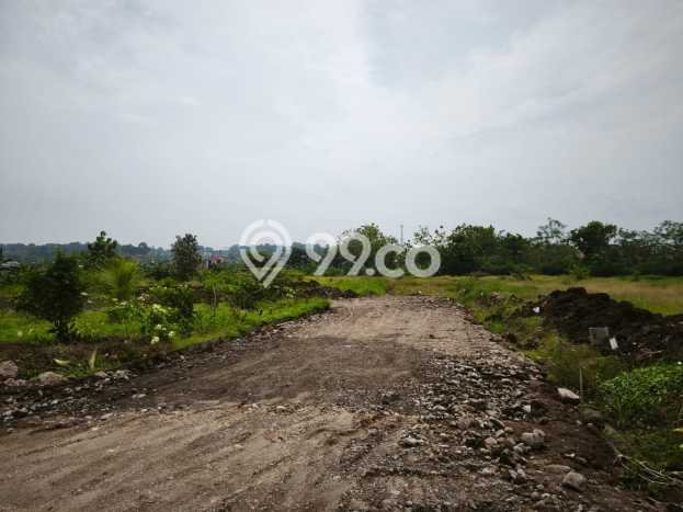 Rumah Murah Dijual di Ngaliyan, Semarang Harga Rp 475 Juta Rumah Murah Dijual di Ngaliyan, Semarang Harga Rp 475 Juta