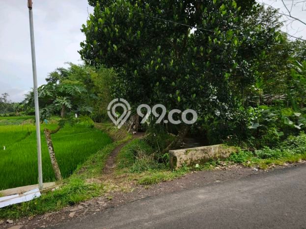 Tanah untuk Dijual di Gunung Pati Semarang Luas 20000m2 Tanah untuk Dijual di Gunung Pati Semarang Luas 20000m2