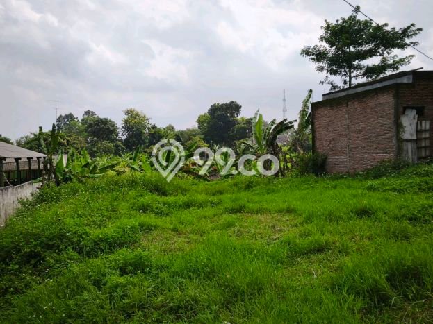 Tanah Kavling di Mijen Dijual dengan Luas 150m2 Tanah Kavling di Mijen Dijual dengan Luas 150m2