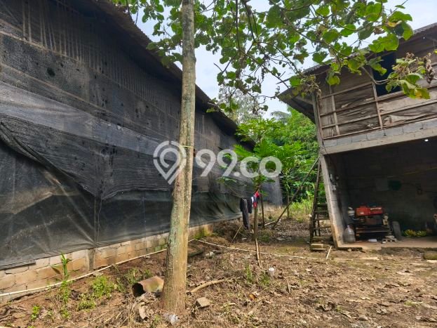 KEUNTUNGAN BERLIPAT! Komersial Kawasan Boja, Luas 750m², Area Komersial KEUNTUNGAN BERLIPAT! Komersial Kawasan Boja, Luas 750m², Area Komersial