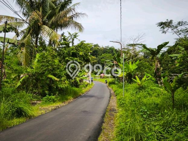 Tanah untuk Dijual di Gunung Pati Semarang Luas 20000m2 Tanah untuk Dijual di Gunung Pati Semarang Luas 20000m2
