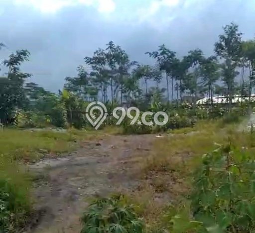 Tanah di Pringapus, Semarang Luas 9670m2 Dijual Segera Tanah di Pringapus, Semarang Luas 9670m2 Dijual Segera
