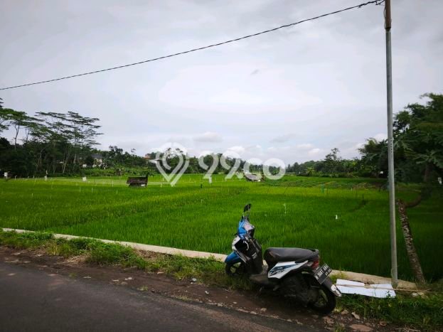 Tanah untuk Dijual di Gunung Pati Semarang Luas 20000m2 Tanah untuk Dijual di Gunung Pati Semarang Luas 20000m2