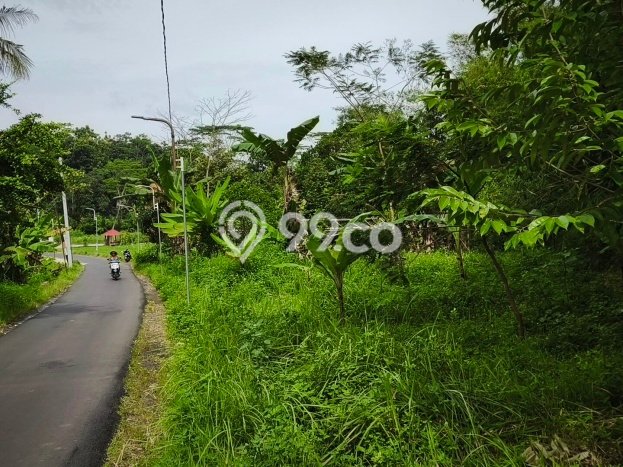 Tanah untuk Dijual di Gunung Pati Semarang Luas 20000m2 Tanah untuk Dijual di Gunung Pati Semarang Luas 20000m2