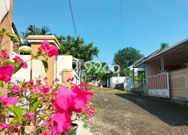 Jual Rumah Strategis Bagus Punya 2 KT di Mijen Semarang SHM Jual Rumah Strategis Bagus Punya 2 KT di Mijen Semarang SHM