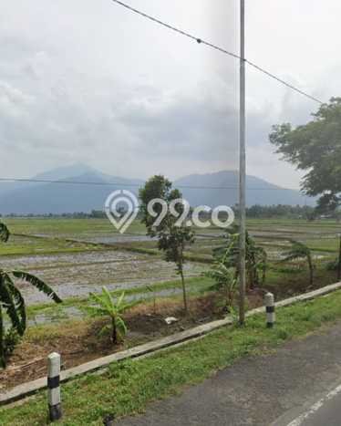 Kavling Tanah Dijual di Ambarawa Ambarawa Spesifikasi 4344m2 Kavling Tanah Dijual di Ambarawa Ambarawa Spesifikasi 4344m2