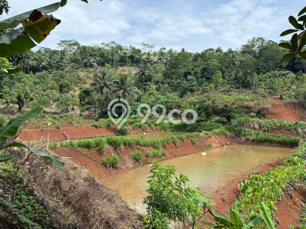 Tanah Kavling untuk Dijual di Baregbeg Ciamis 51596m2 Tanah Kavling untuk Dijual di Baregbeg Ciamis 51596m2