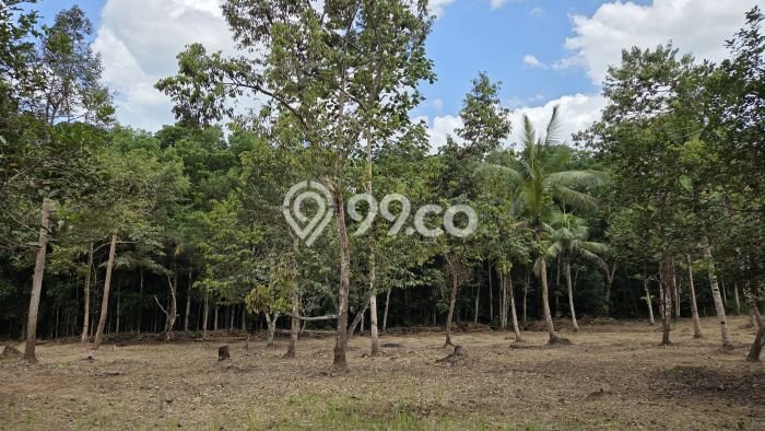 Tanah Dijual Lokasi Pamarican, Ciamis dengan Luas Tanah 30000m2 dan Status - Tanah Dijual Lokasi Pamarican, Ciamis dengan Luas Tanah 30000m2 dan Status -