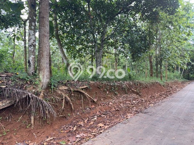 Tanah Dijual Lokasi Cisaga, Ciamis Luas 7276m2 Legalitas Aman Tanah Dijual Lokasi Cisaga, Ciamis Luas 7276m2 Legalitas Aman