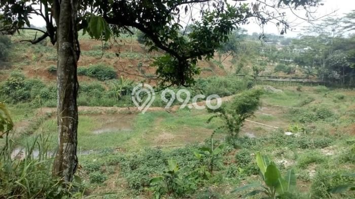 Dijual Tanah Lokasi Prima di Ciampea, Luas 10123m², Akses Fasilitas Umum Dijual Tanah Lokasi Prima di Ciampea, Luas 10123m², Akses Fasilitas Umum