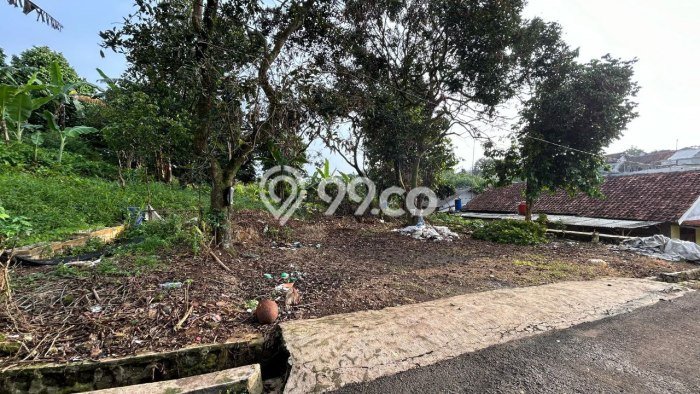 Tanah di Tanah Sareal, Luas 534m², Akses Fasilitas, Potensi Menjanjikan Tanah di Tanah Sareal, Luas 534m², Akses Fasilitas, Potensi Menjanjikan