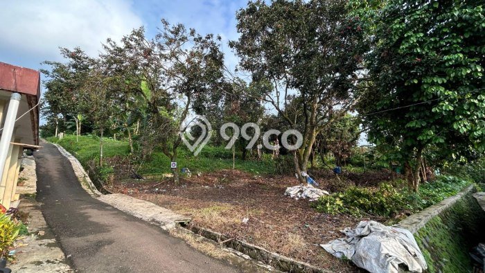 Tanah di Tanah Sareal, Luas 534m², Akses Fasilitas, Potensi Menjanjikan Tanah di Tanah Sareal, Luas 534m², Akses Fasilitas, Potensi Menjanjikan