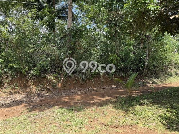 Dijual Tanah Lokasi Strategis Kawasan Cisaga, Luas 2520m2m², Dekat Cisaga, Ciamis, Ciamis Dijual Tanah Lokasi Strategis Kawasan Cisaga, Luas 2520m2m², Dekat Cisaga, Ciamis, Ciamis