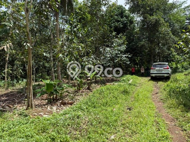 Tanah Kosong Dijual di Ciamis dengan Area 1746m2 Tanah Kosong Dijual di Ciamis dengan Area 1746m2