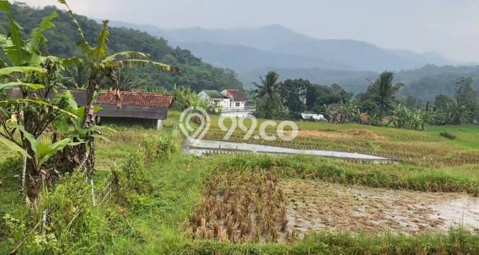 Lahan untuk Dijual Lokasi Panawangan, Ciamis Luas 7560m2 SHM Lahan untuk Dijual Lokasi Panawangan, Ciamis Luas 7560m2 SHM