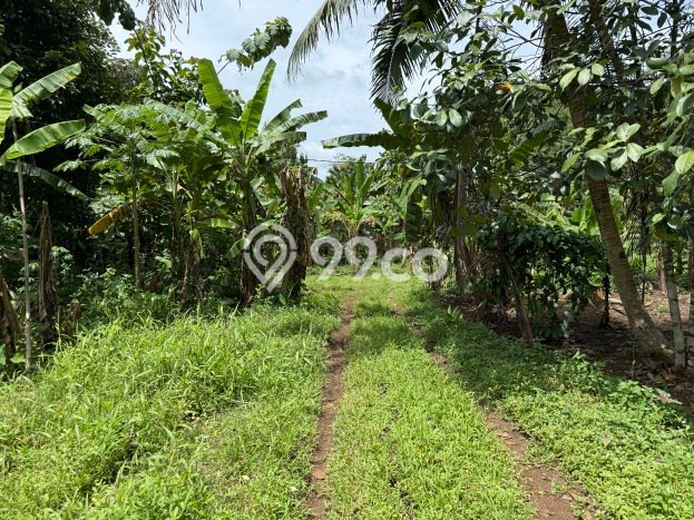 Tanah Kosong Dijual di Ciamis dengan Area 1746m2 Tanah Kosong Dijual di Ciamis dengan Area 1746m2