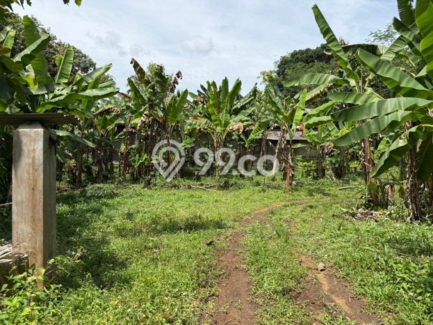 Tanah Kosong Dijual di Ciamis dengan Area 1746m2 Tanah Kosong Dijual di Ciamis dengan Area 1746m2