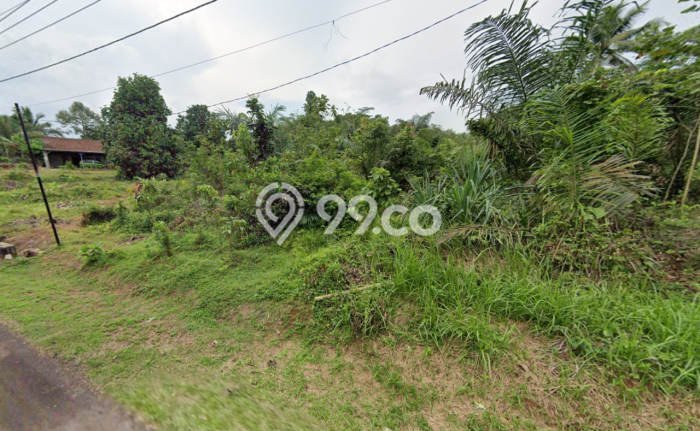Tanah di Cisaga, Ciamis Luas 20000m2 Dijual Segera Tanah di Cisaga, Ciamis Luas 20000m2 Dijual Segera