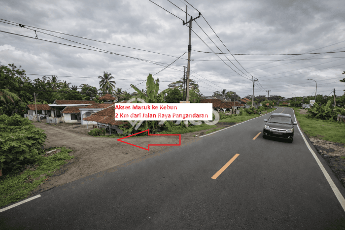 Tanah Dijual Lokasi Pamarican, Ciamis dengan Luas Tanah 30000m2 dan Status - Tanah Dijual Lokasi Pamarican, Ciamis dengan Luas Tanah 30000m2 dan Status -