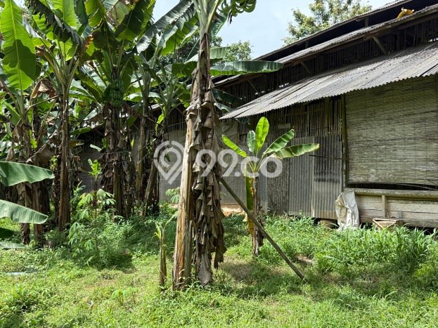 Tanah Kosong Dijual di Ciamis dengan Area 1746m2 Tanah Kosong Dijual di Ciamis dengan Area 1746m2