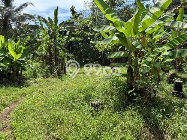Tanah Kosong Dijual di Ciamis dengan Area 1746m2 Tanah Kosong Dijual di Ciamis dengan Area 1746m2