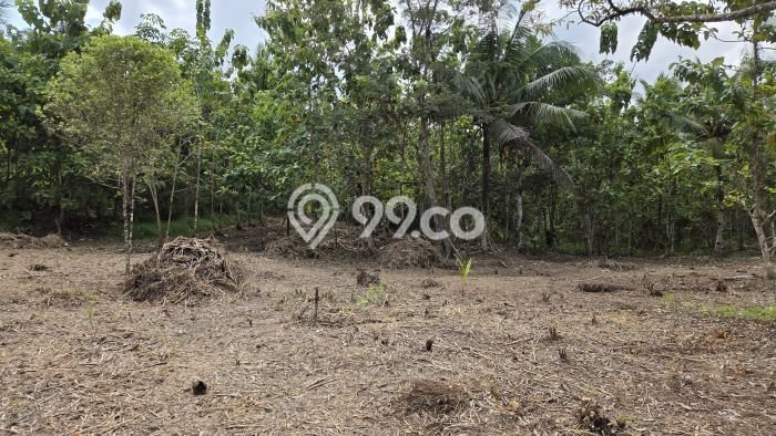 Tanah Dijual Lokasi Pamarican, Ciamis dengan Luas Tanah 30000m2 dan Status - Tanah Dijual Lokasi Pamarican, Ciamis dengan Luas Tanah 30000m2 dan Status -