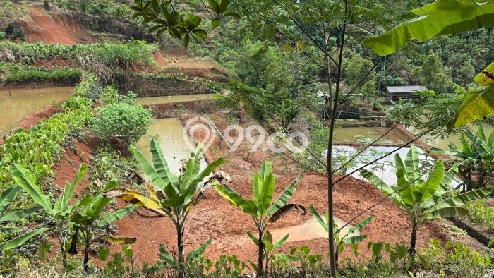 Tanah Kavling untuk Dijual di Baregbeg Ciamis 51596m2 Tanah Kavling untuk Dijual di Baregbeg Ciamis 51596m2