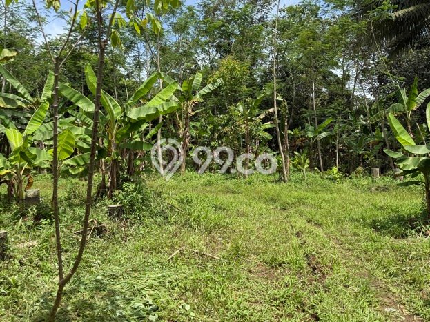 Tanah Kosong Dijual di Ciamis dengan Area 1746m2 Tanah Kosong Dijual di Ciamis dengan Area 1746m2