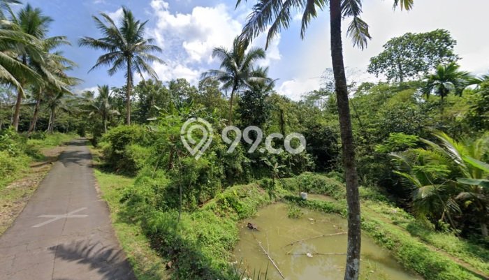 Dijual Tanah Kawasan Cisaga, Luas 27000m², Lokasi Potensial Dijual Tanah Kawasan Cisaga, Luas 27000m², Lokasi Potensial