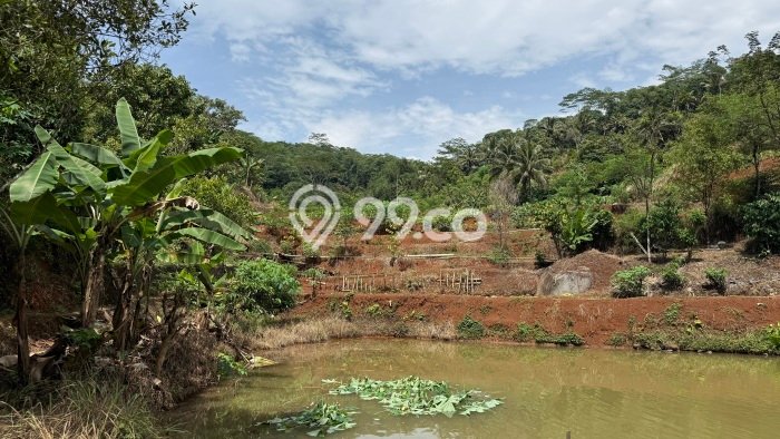 Tanah Kavling untuk Dijual di Baregbeg Ciamis 51596m2 Tanah Kavling untuk Dijual di Baregbeg Ciamis 51596m2