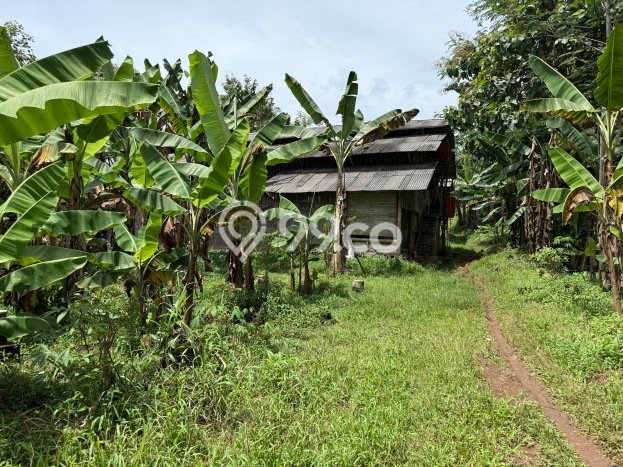 Tanah Kosong Dijual di Ciamis dengan Area 1746m2 Tanah Kosong Dijual di Ciamis dengan Area 1746m2
