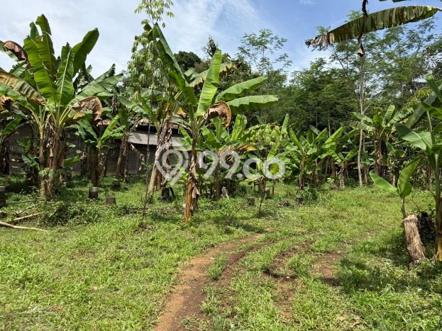 Tanah Kosong Dijual di Ciamis dengan Area 1746m2 Tanah Kosong Dijual di Ciamis dengan Area 1746m2