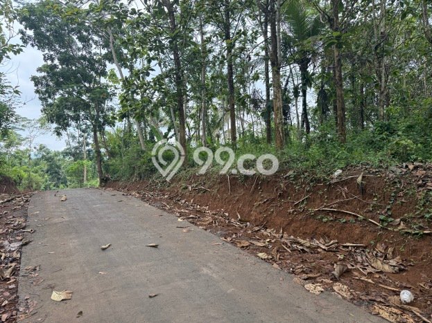 Tanah Dijual Lokasi Cisaga, Ciamis Luas 7276m2 Legalitas Aman Tanah Dijual Lokasi Cisaga, Ciamis Luas 7276m2 Legalitas Aman