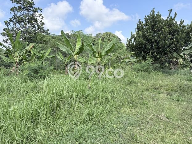 Dijual Tanah di Ciamis, Luas 2240m2 - Dijual Tanah di Ciamis, Luas 2240m2 -