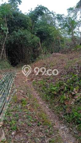 Tanah untuk Dijual Lokasi Cisaga, Ciamis Luas 9976m2 - Tanah untuk Dijual Lokasi Cisaga, Ciamis Luas 9976m2 -