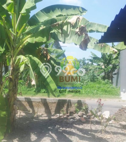 Kavling Tanah Dijual di Gatak Sukoharjo Spesifikasi 330m2 Kavling Tanah Dijual di Gatak Sukoharjo Spesifikasi 330m2