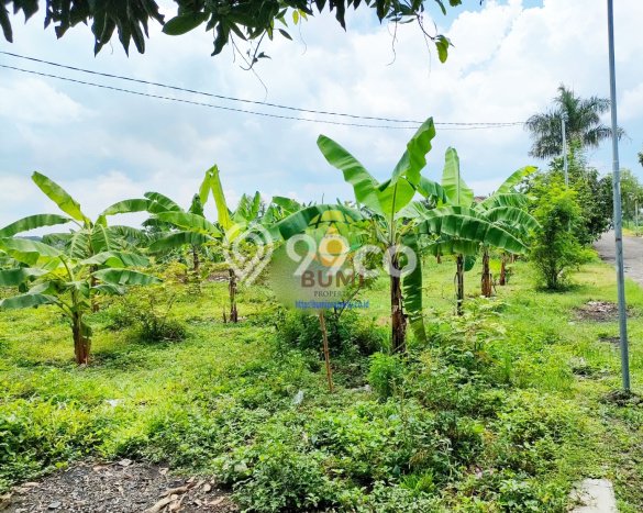 Kavling Tanah Dijual di Andong Boyolali Spesifikasi 4784m2 Kavling Tanah Dijual di Andong Boyolali Spesifikasi 4784m2