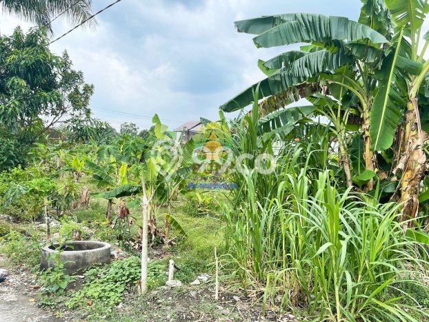 Kavling Tanah Dijual di Andong Boyolali Spesifikasi 4784m2 Kavling Tanah Dijual di Andong Boyolali Spesifikasi 4784m2