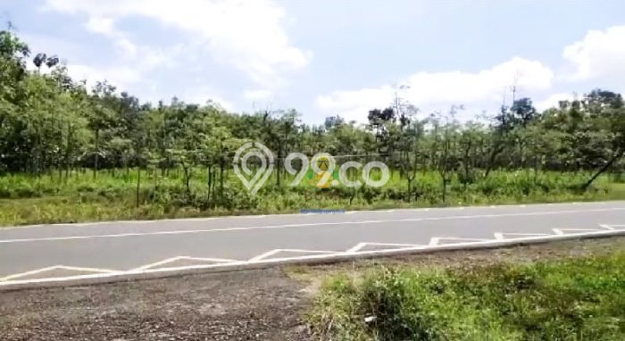 Kavling Tanah di Giriwoyo Dijual Luas 4351m2 Legalitas SHM Kavling Tanah di Giriwoyo Dijual Luas 4351m2 Legalitas SHM