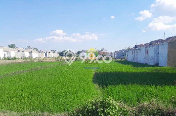 Tanah Dijual Lokasi Karanganyar Karanganyar SHM Tanah Dijual Lokasi Karanganyar Karanganyar SHM
