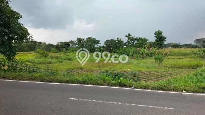 Lahan Dijual Lokasi Polanharjo, Klaten dengan Luas Tanah 2160m2 dan Status SHM Lahan Dijual Lokasi Polanharjo, Klaten dengan Luas Tanah 2160m2 dan Status SHM