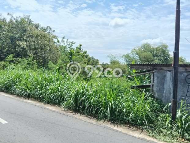 Jarang Ada! Tanah di Mojogedang Punya Luas 1550m2 SHM Jarang Ada! Tanah di Mojogedang Punya Luas 1550m2 SHM