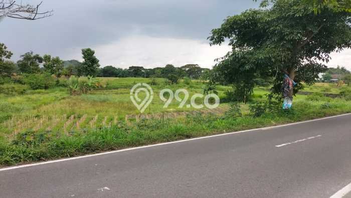 Kavling Tanah di Polanharjo Dijual Luas 2160m2 Legalitas SHM Kavling Tanah di Polanharjo Dijual Luas 2160m2 Legalitas SHM