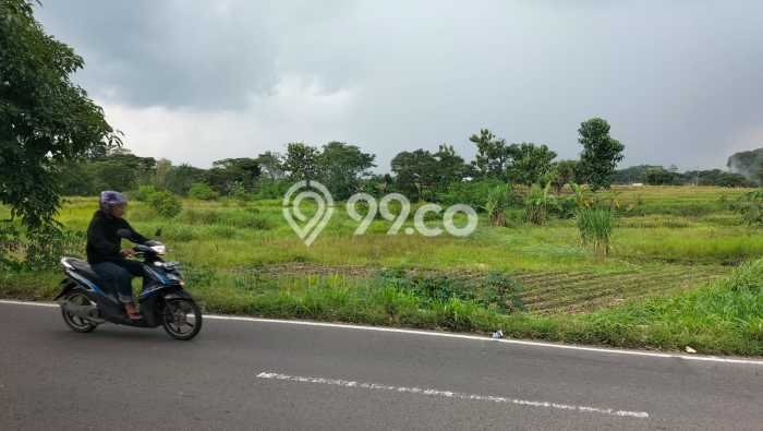 Kavling Tanah di Polanharjo Dijual Luas 2160m2 Legalitas SHM Kavling Tanah di Polanharjo Dijual Luas 2160m2 Legalitas SHM