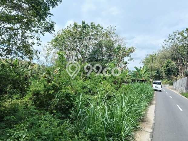 Jarang Ada! Tanah di Mojogedang Punya Luas 1550m2 SHM Jarang Ada! Tanah di Mojogedang Punya Luas 1550m2 SHM