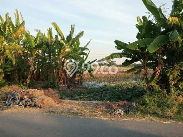 Tanah Kavling di Baki Dijual dengan Luas 896m2 Tanah Kavling di Baki Dijual dengan Luas 896m2