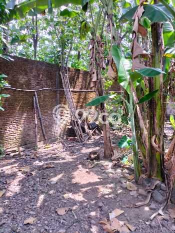 Jual Rumah Minimalis Bagus Punya 2 KT di Kebakkramat Karanganyar SHM Jual Rumah Minimalis Bagus Punya 2 KT di Kebakkramat Karanganyar SHM