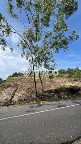 Untuk Dijual Tanah di Badung, Luas 425m2 SHM Untuk Dijual Tanah di Badung, Luas 425m2 SHM
